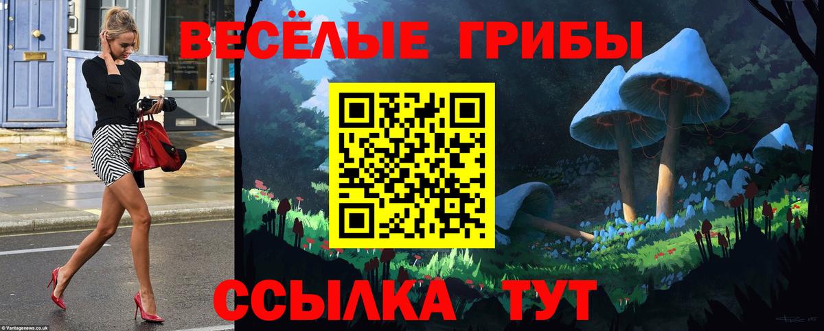 Псилоцибиновые грибы GOLDEN TEACHER Артёмовский