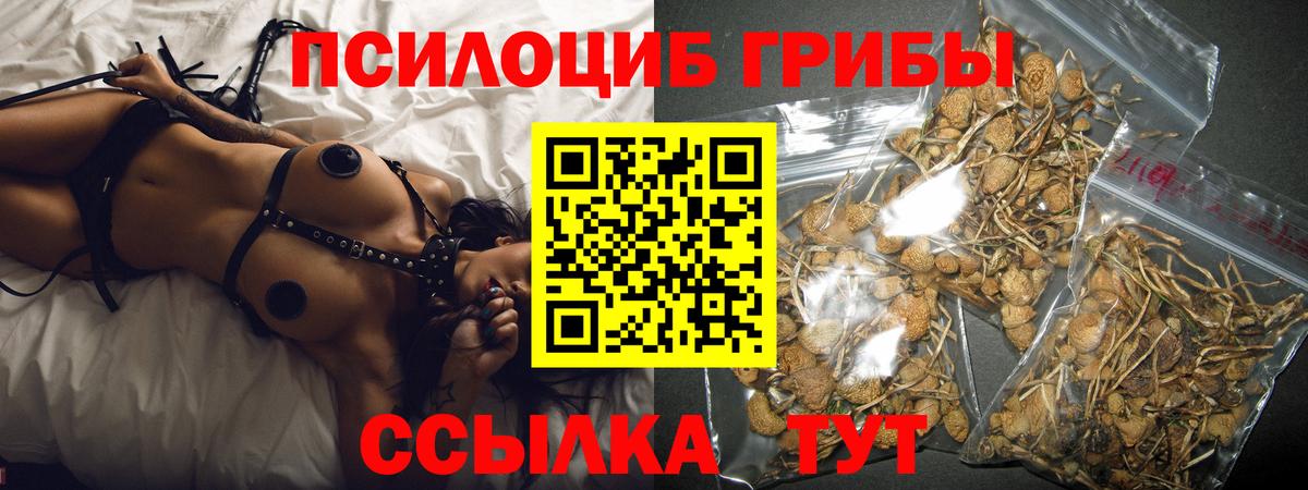 как найти закладки  Галлюциногенные грибы прущие грибы  Вход с VPN  Псилоцибиновые грибы ЛСД  Артёмовский 